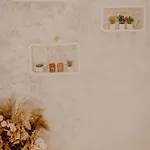 Luxurious Daire Temeşvar