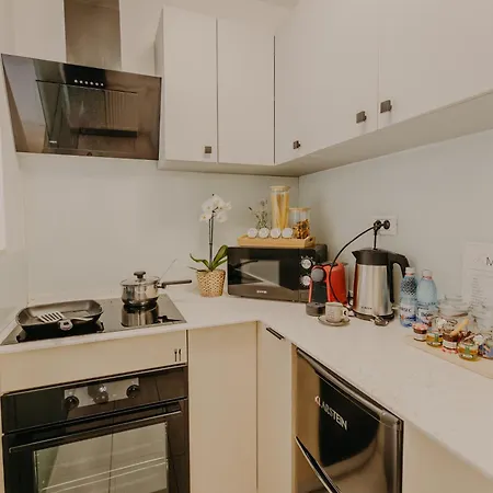 Lägenhet Central Luxurious Studio Timişoara