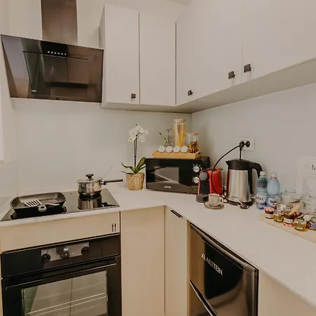 Luxurious Temeşvar