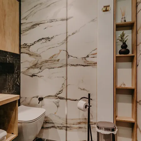 Apartment Luxurious Timisoara