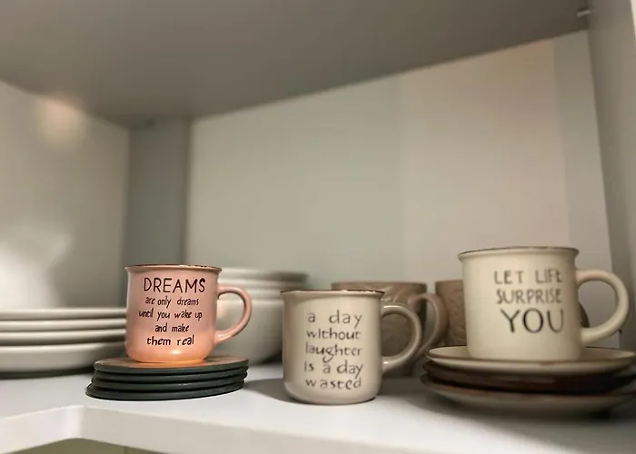 Central Luxurious Studio * Timişoara