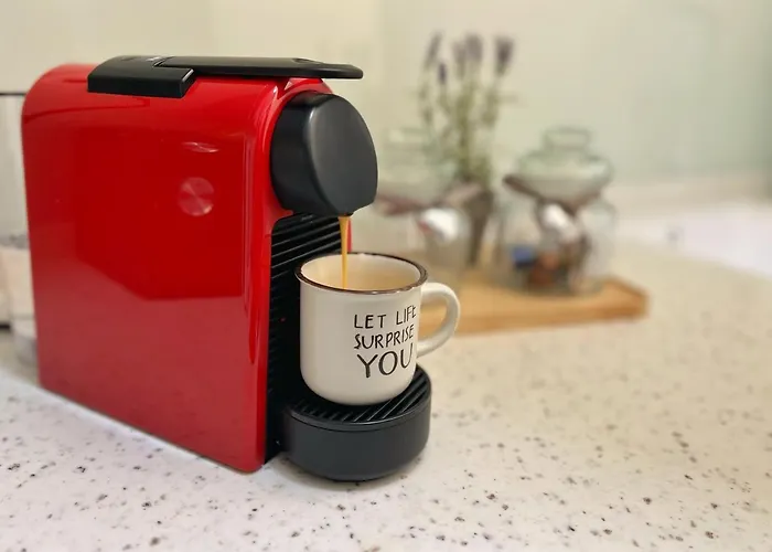 Lägenhet Central Luxurious Studio Timişoara