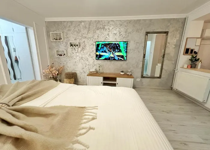 Central Luxurious Studio Timişoara