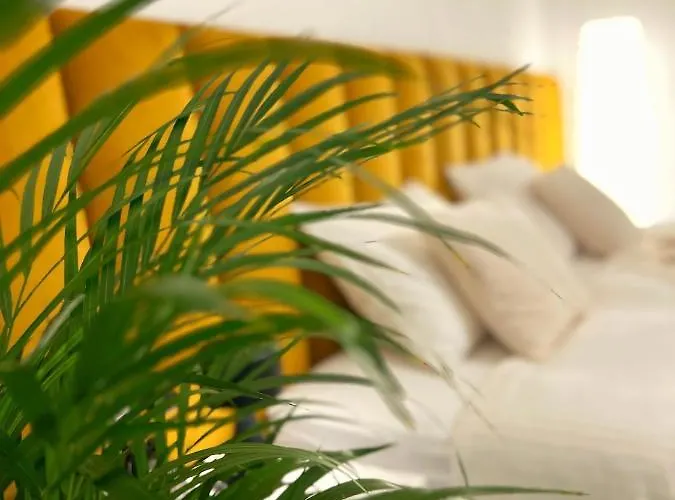 Central Luxurious Studio Timişoara