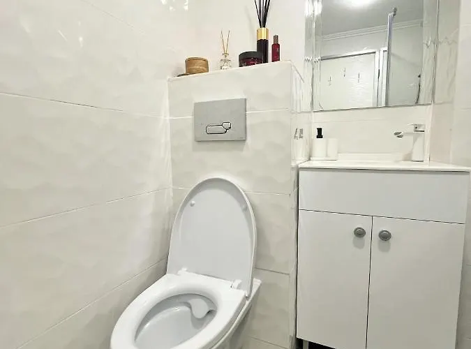 Central Luxurious Studio Timişoara