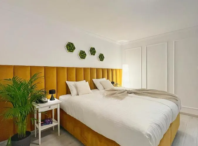 Central Luxurious Studio Timişoara