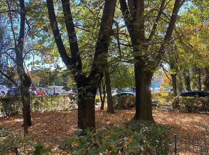 Central Luxurious Studio Lägenhet *