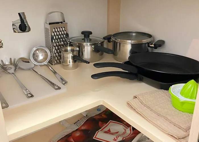 Central Luxurious Studio * Timişoara