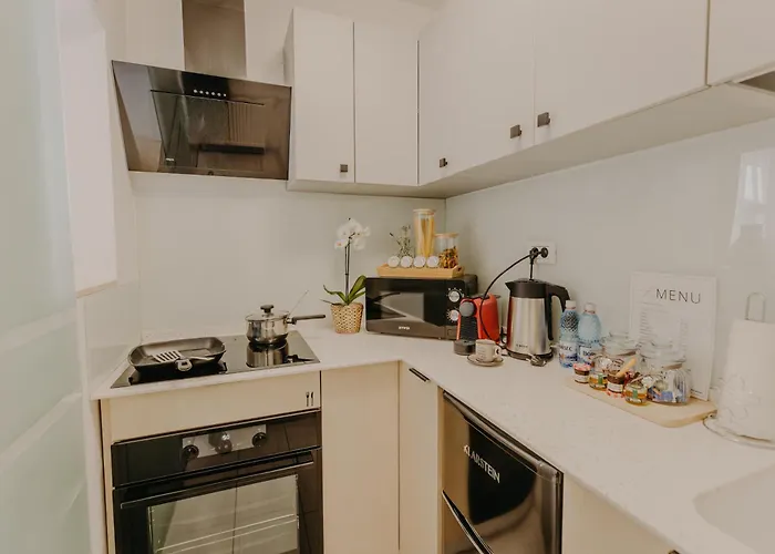 Lägenhet Central Luxurious Studio Timişoara