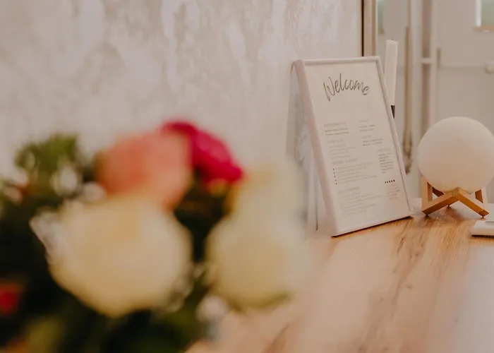 Central Luxurious Studio Timişoara