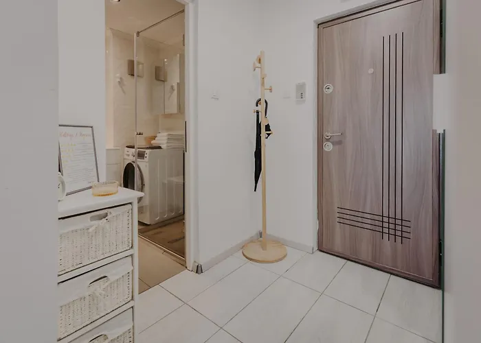 Central Luxurious Studio Timişoara