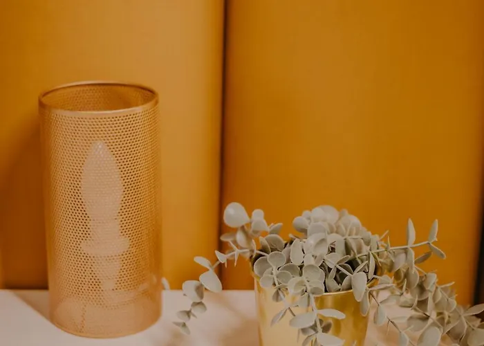 Central Luxurious Studio Timişoara