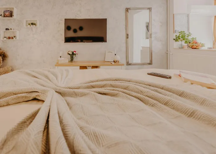 Central Luxurious Studio Timişoara