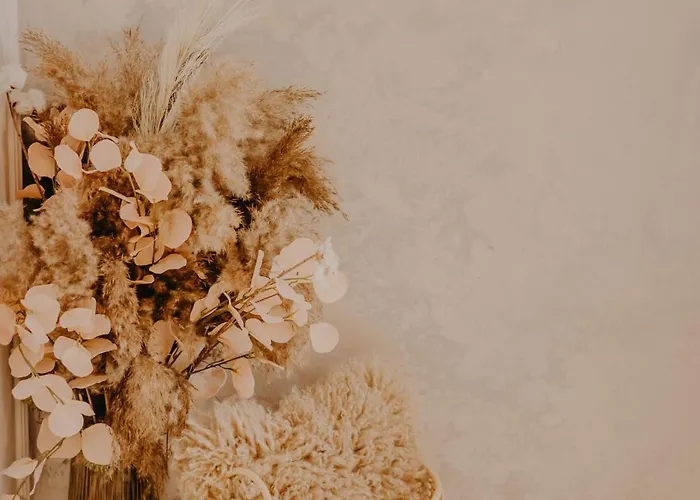 Lägenhet Central Luxurious Studio Timişoara