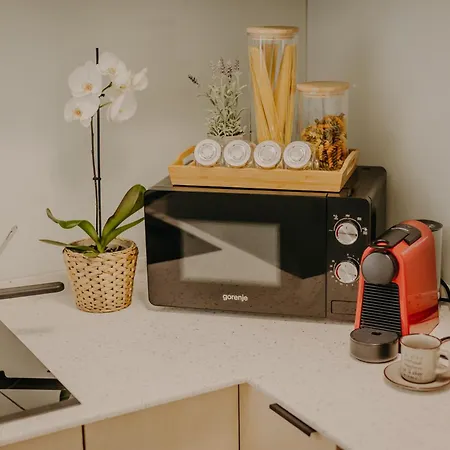 Luxurious Apartamento Timisoara