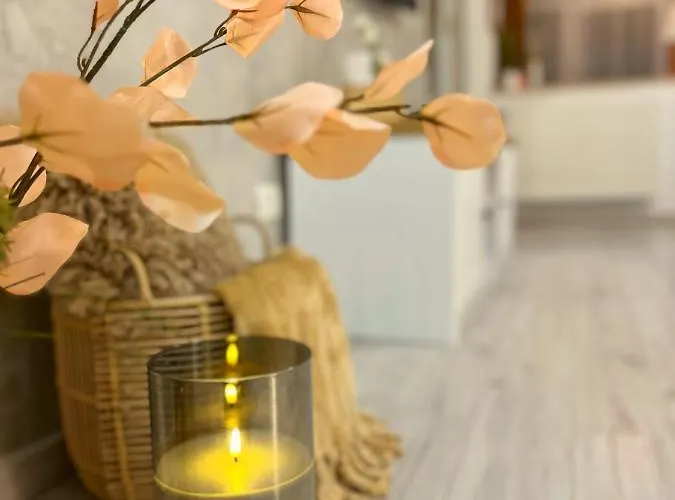 Luxurious Apartamento Timisoara