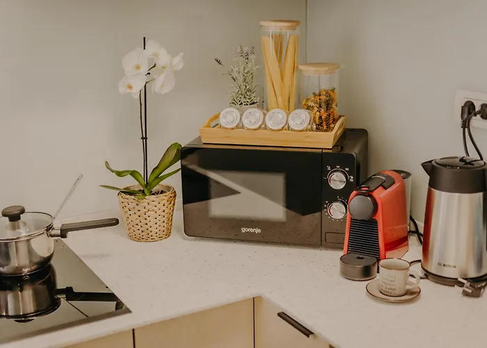 Luxurious Apartamento Timisoara